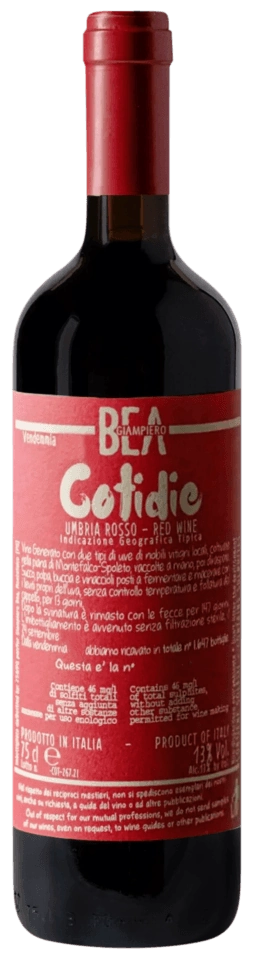 Paolo Bea Cotidie Rosso