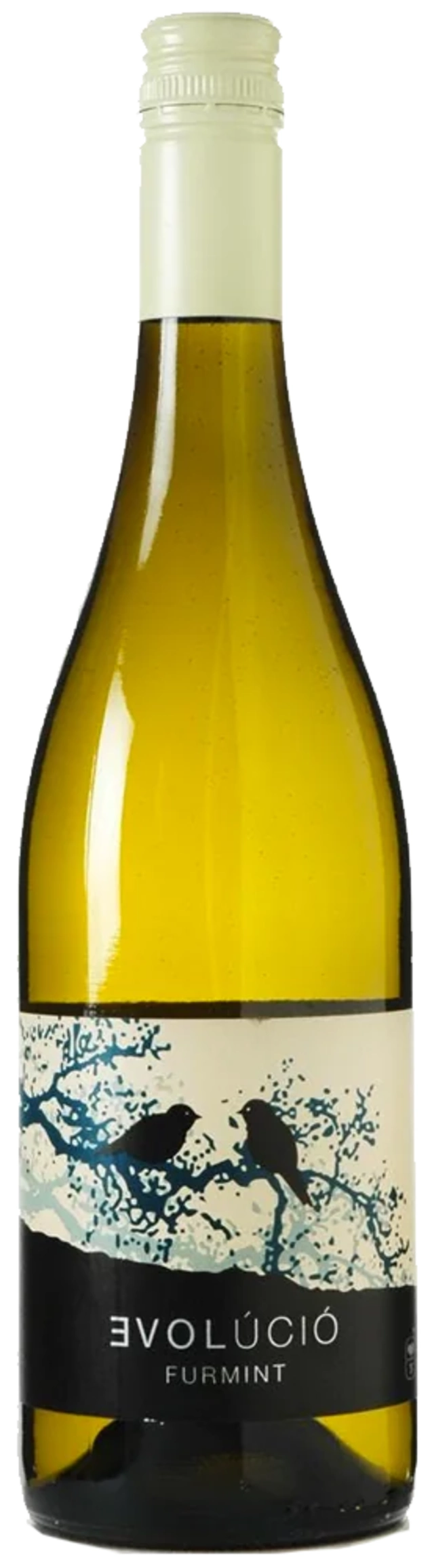 Evolúció Furmint