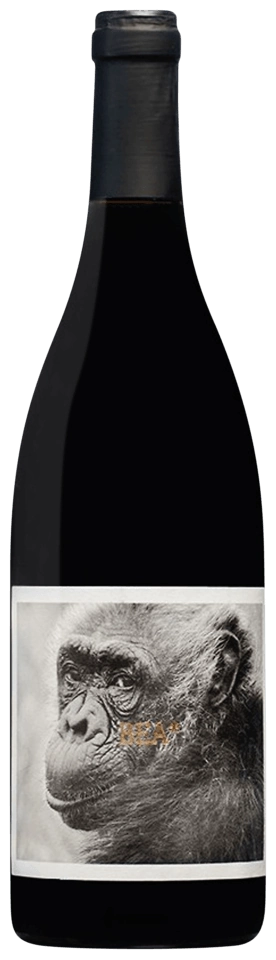 La Vinyeta Bea