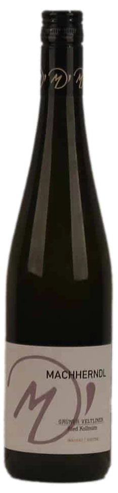 Machherndl Grüner Veltliner Kollmütz