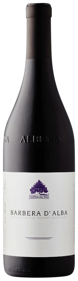 Cantina del Pino Barbera d'Alba