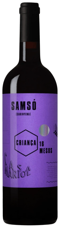 Casa Mariol Criança Samsó