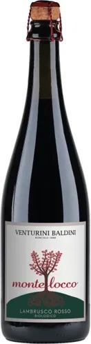 Bottle of Venturini Baldini Montelocco Lambrusco Emilia from search results