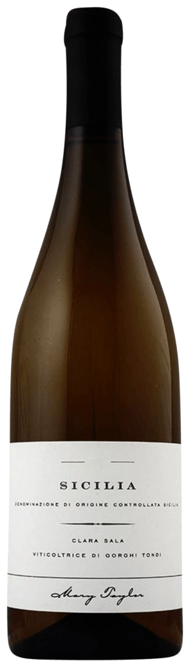 Mary Taylor Clara Sala