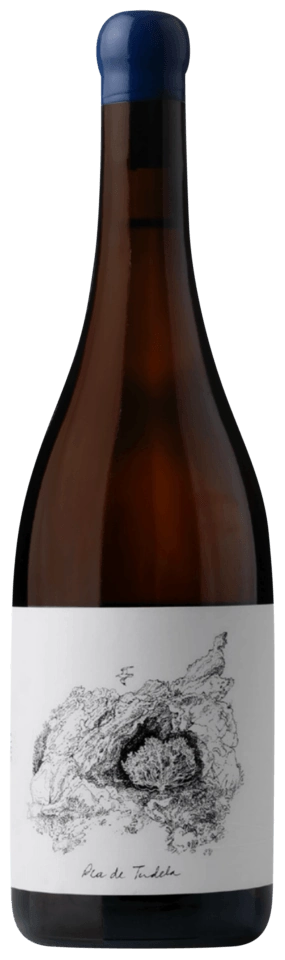 Espelt Cap de Creus Pla de Tudela Blanc