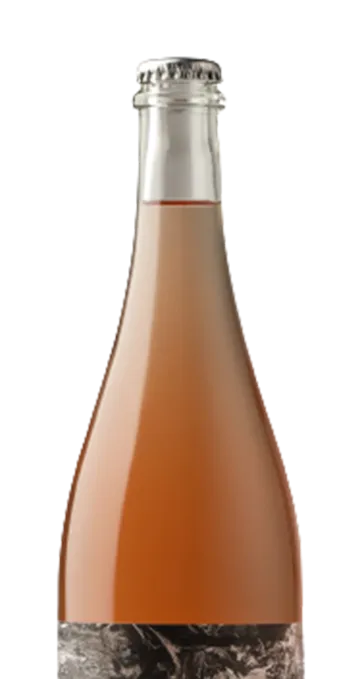 Bottle of Gönc Winery Canvas Pet Nat Rosé from search results
