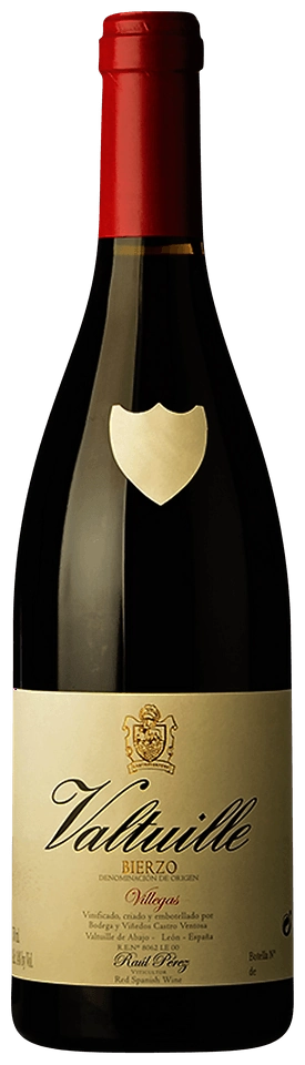 Raúl Pérez Castro Ventosa Valtuille Villegas