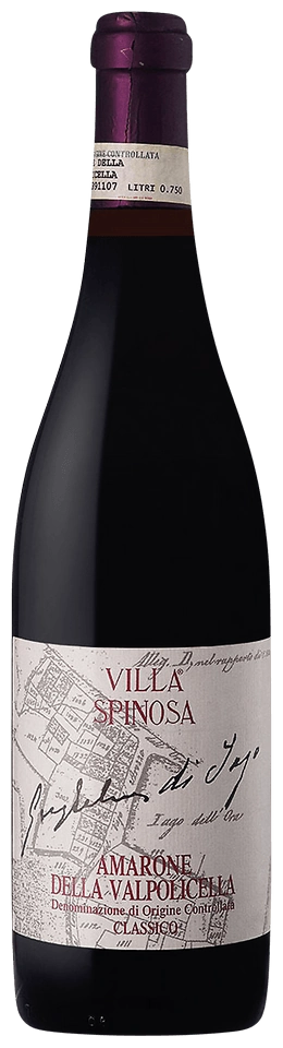 Villa Spinosa Guglielmi di Jago Amarone della Valpolicella Classico