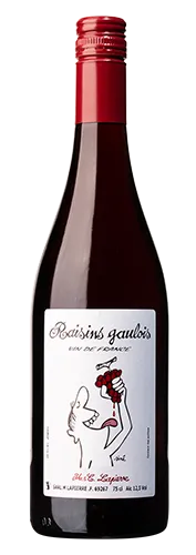 Bottle of Domaine Mathieu & Camille Lapierre Raisins Gauloiswith label visible