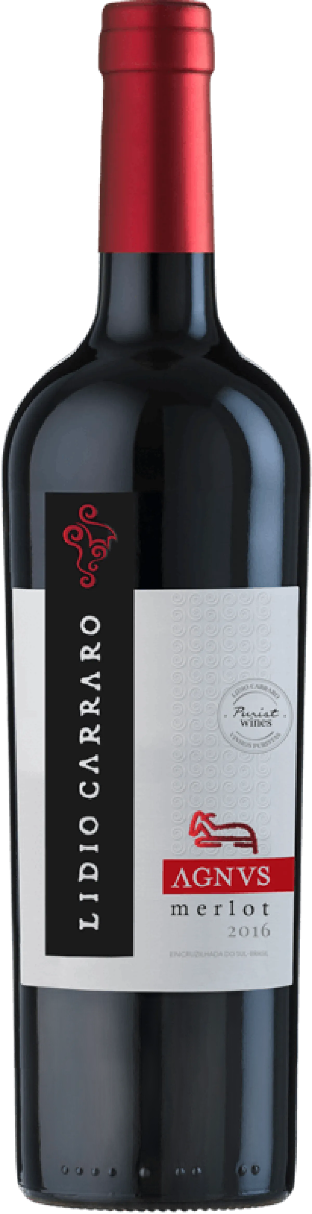 Brazil, The Country with two Harvests | VinoVoss