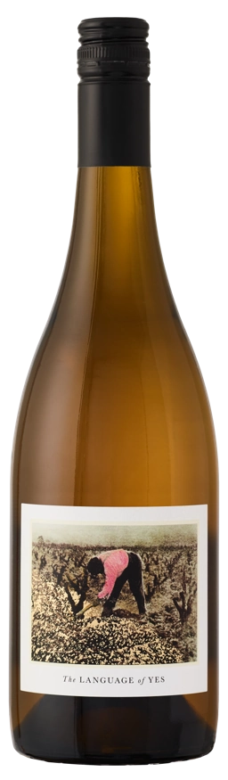 The Language of Yes Pink