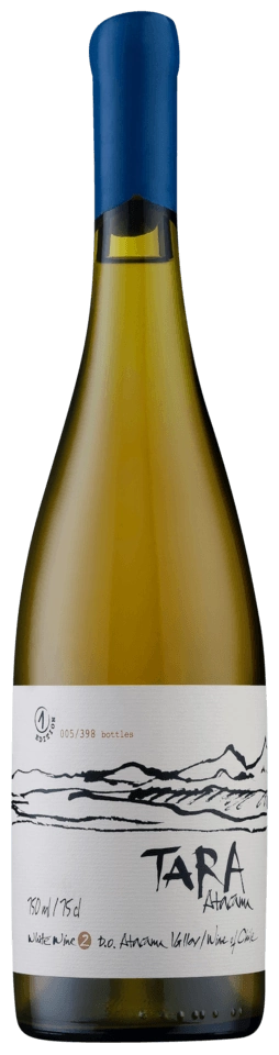 Ventisquero Tara White 2