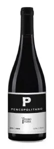Bottle of Pedro Parra y Familia P Pencopolitano from search results