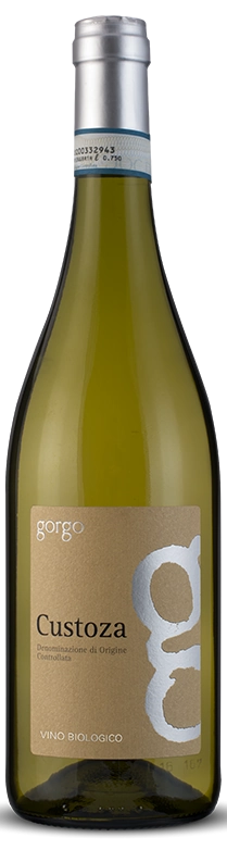 Gorgo Custoza