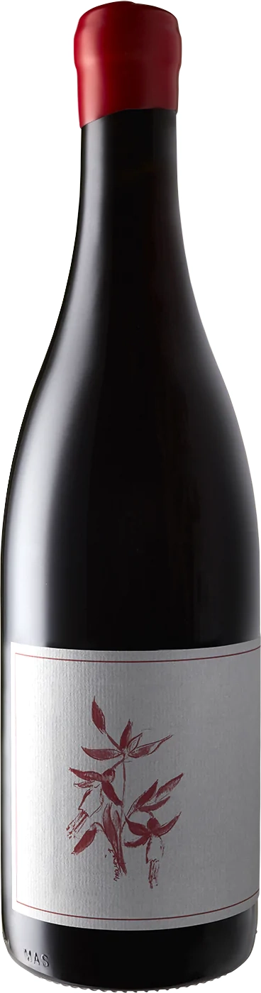 Arnot-Roberts Gamay Noir