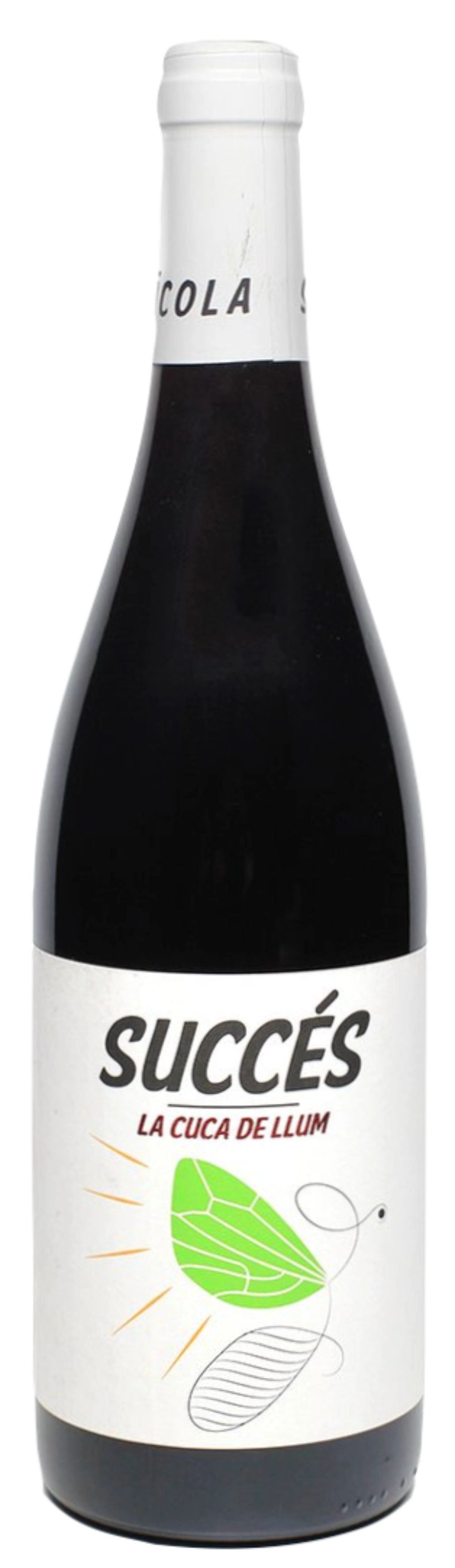 Succès La Cuca de Llum