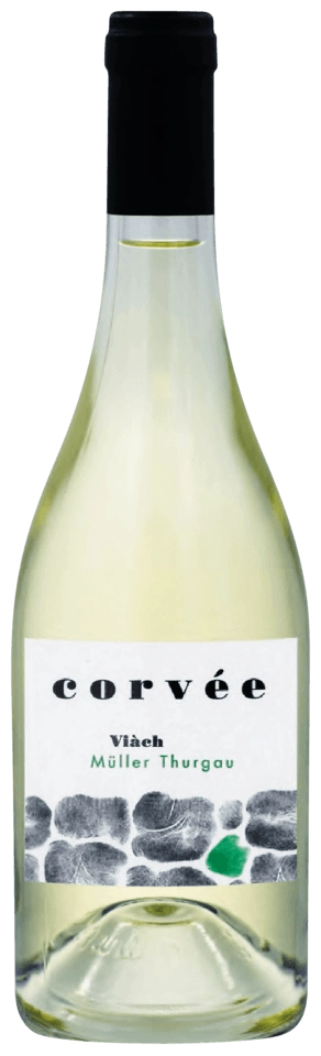 Corvée Viàch Müller Thurgau