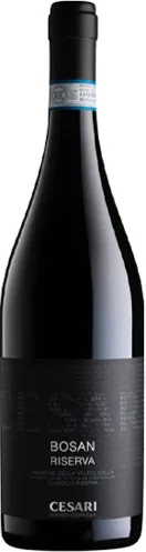 Bottle of Cesari Bosan Riserva Amarone della Valpolicella Classico from search results