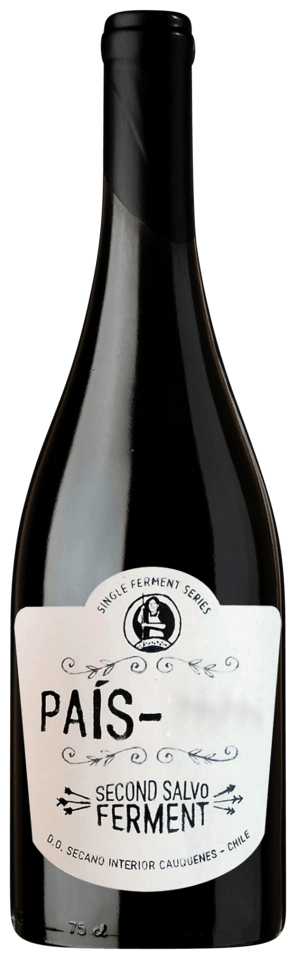 Garage Wine Co Pais (Single Ferment Series)