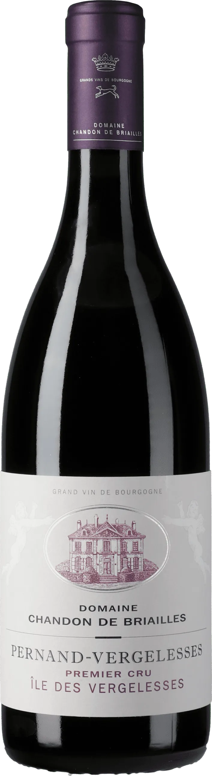 Bottle of Chandon de Briailles Île des Vergelesses Pernand-Vergelesses 1er Cru Rouge from search results