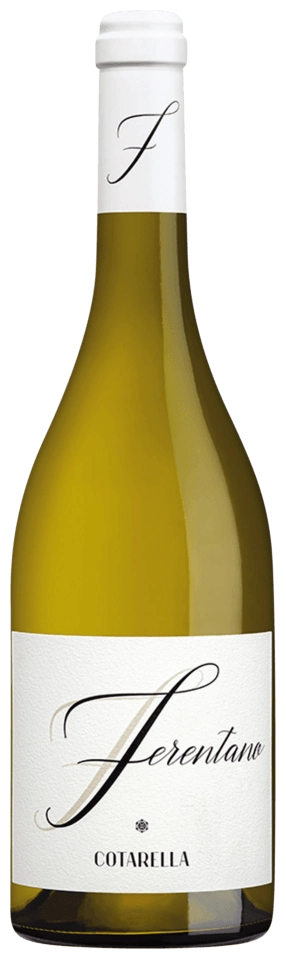 Cotarella Ferentano Lazio