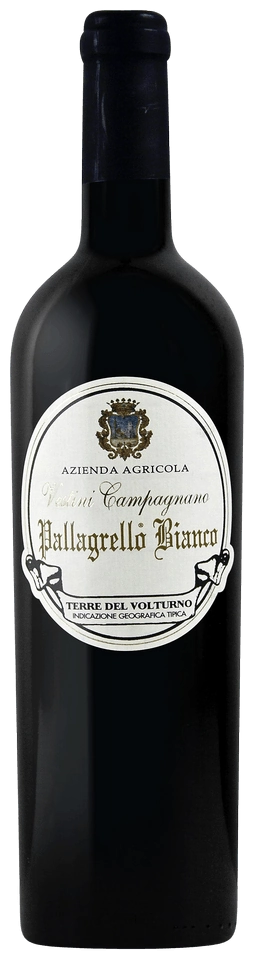 Vestini Campagnano Pallagrello Bianco