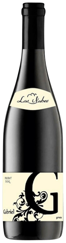Bodega Bravo Escós Las Nubes Gabriel Tinto