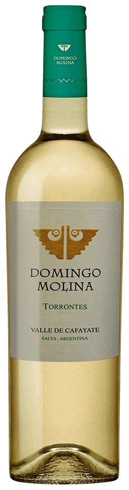 Domingo Molina Torrontés