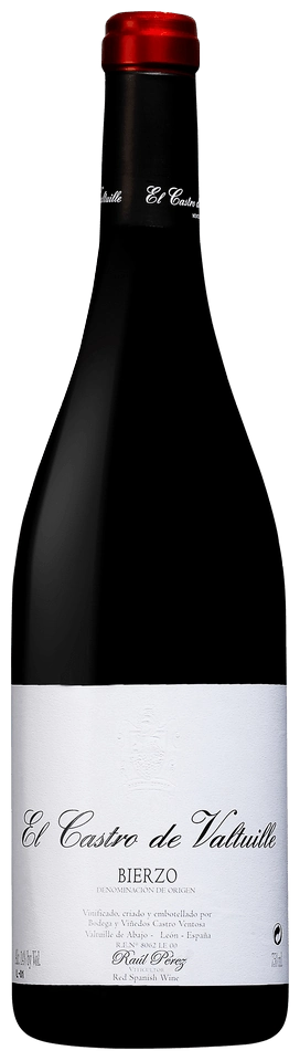 Raúl Pérez Castro Ventosa El Castro de Valtuille