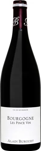 Bottle of Jean-Luc & Eric Burguet Bourgogne 'Les Pince Vin' from search results