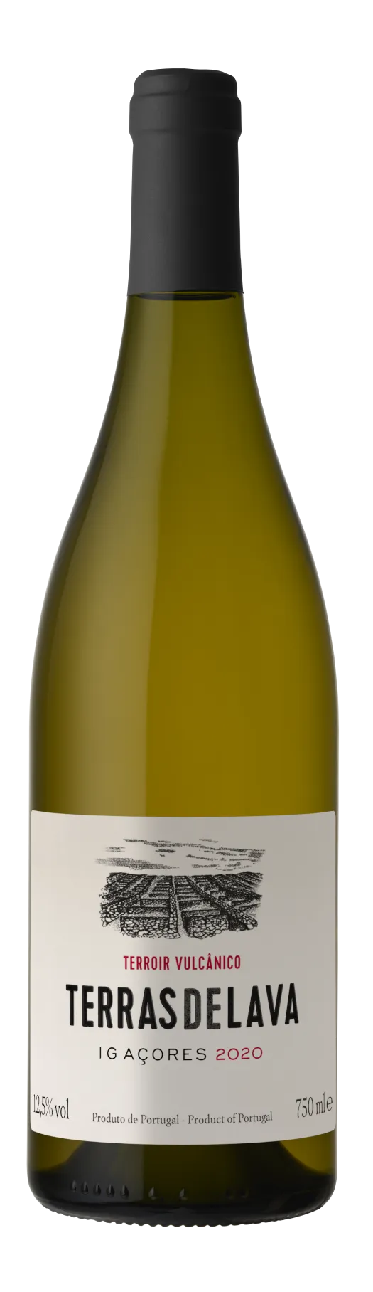 Bottle of Pico Wines Terras de Lava Branco from search results