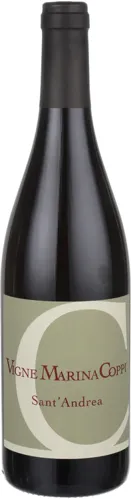 Bottle of Vigne Marina Coppi 'Sant'Andrea' Barbera Colli Tortonesi from search results