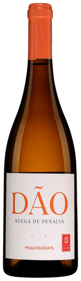 Adega de Penalva Maceration