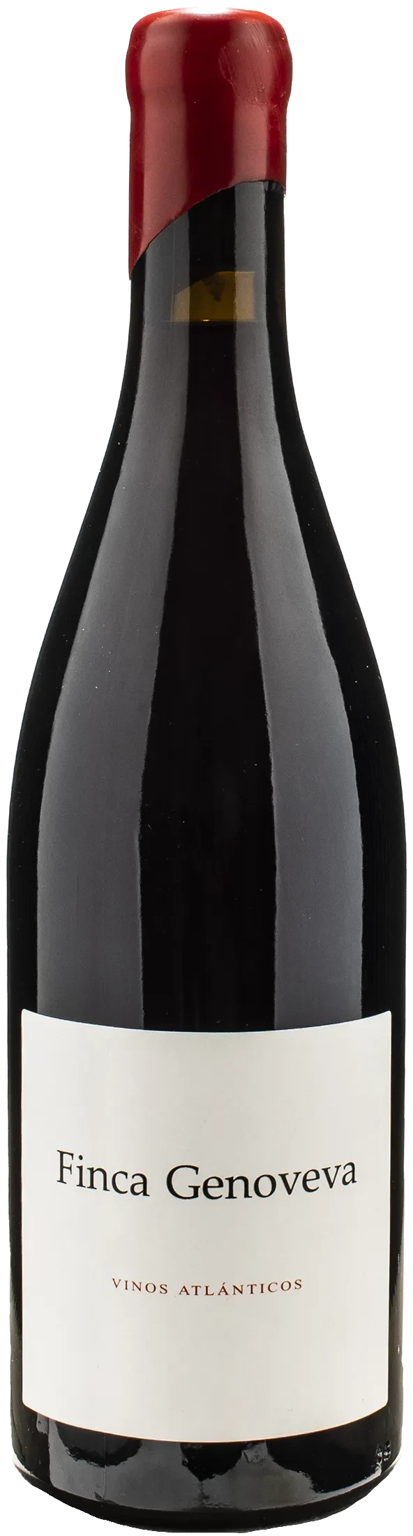 Forjas del Salnés Goliardo Finca Genoveva Caíño