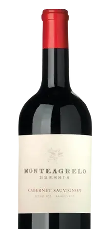 Bottle of Bressia Monteagrelo Cabernet Sauvignon from search results
