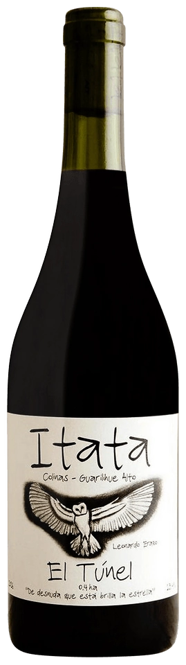 A Los Viñateros Bravos El Túnel