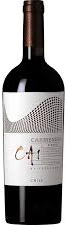 TerraNoble CA1 Andes Carmenère