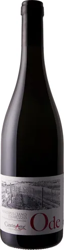 Bottle of Cantin Arte Ode Montepulciano d'Abruzzo from search results