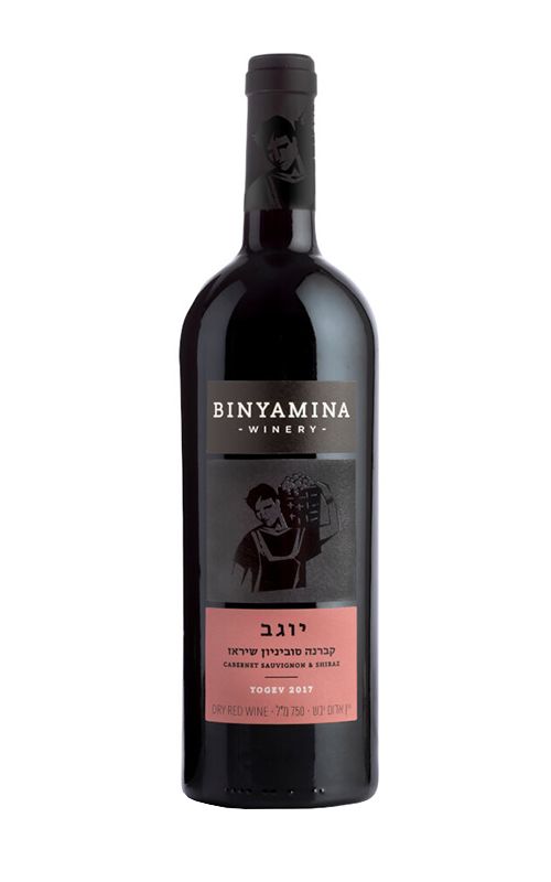 Bottle of Binyamina Yogev Cabernet Sauvignon - Shirazwith label visible