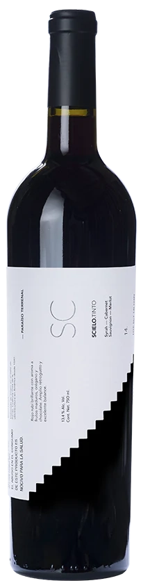 Rivero Gonzalez Scielo MX Tinto