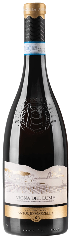 Antonio Mazzella Vigna del Lume