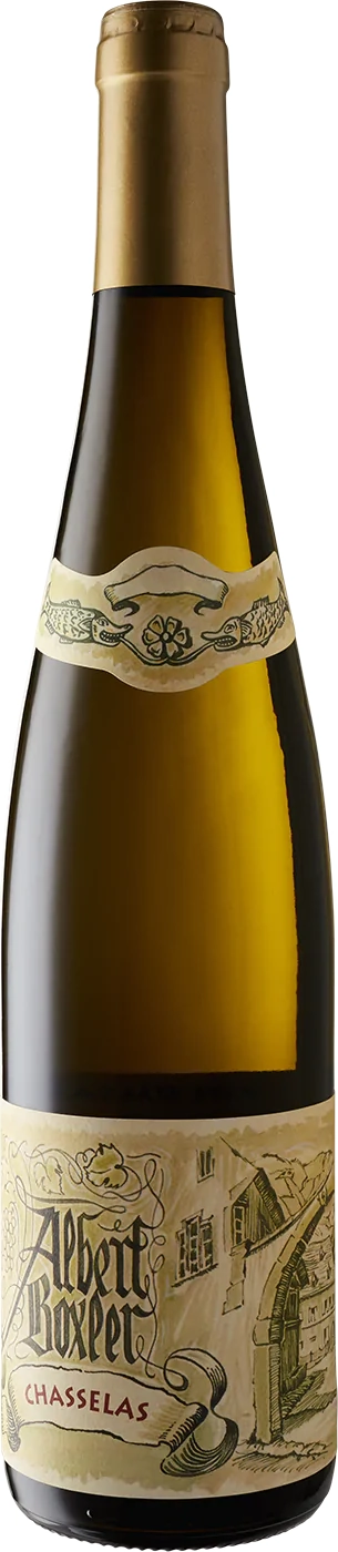 Albert Boxler Chasselas