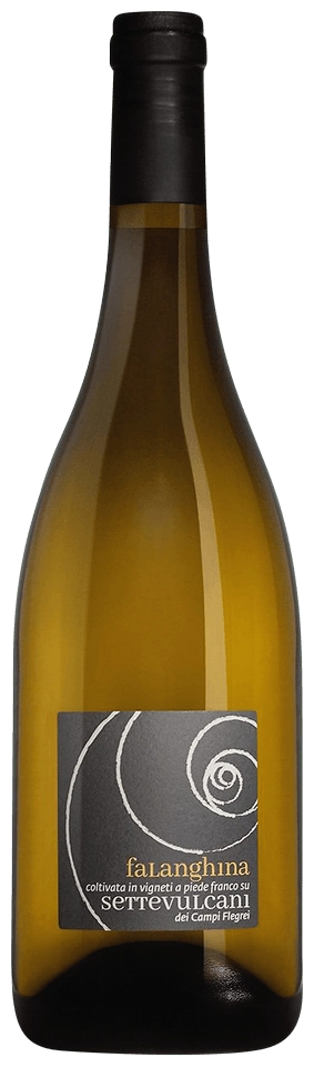 Salvatore Martusciello Settevulcani Falanghina dei Campi Flegrei