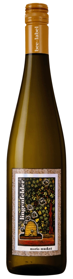 Lingenfelder Morio - Muskat