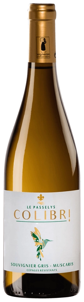 Le Passelys Colibri Souvignier Gris - Muscaris