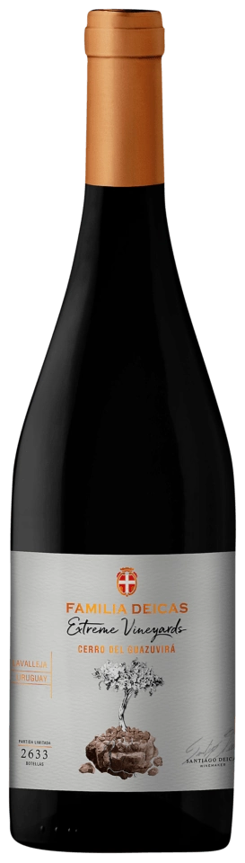 Familia Deicas Extreme Vineyard Cerro de Guazuvirá