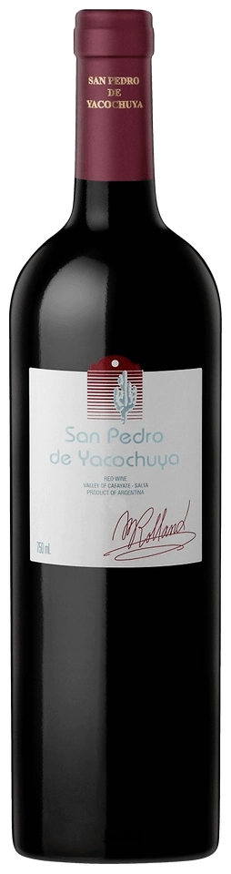 San Pedro de Yacochuya Red
