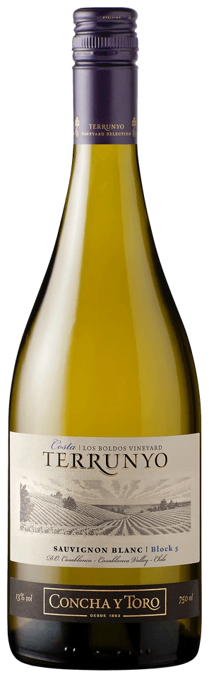 Terrunyo Sauvignon Blanc