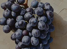 Red Grape Varieties