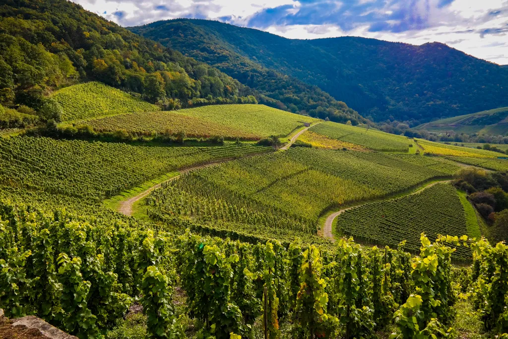 Beautiful landscape of Beaujolais wine region